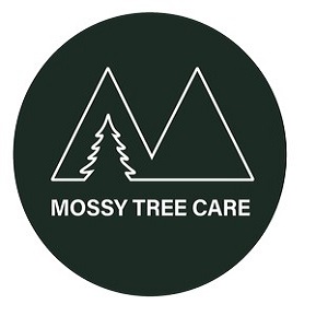 Mossy Tree Care - Portland Other
