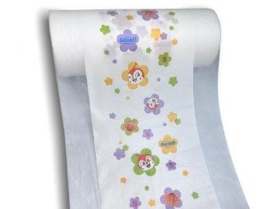 Printing PP Film - Shenzhen Other