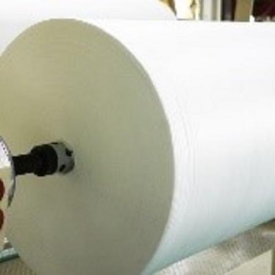 Embossed Biodegradable Film - Shenzhen Other