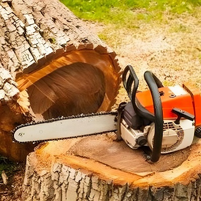 Landscaping Service in Virginia Adelaide - Brisbane Other