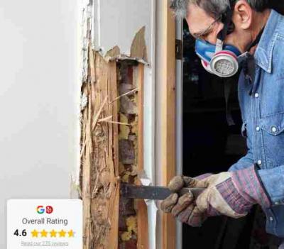 Pest Control Marietta OH - Columbus Other