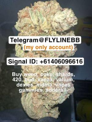 buy DEXIES mackay bud Adelaide plugs 