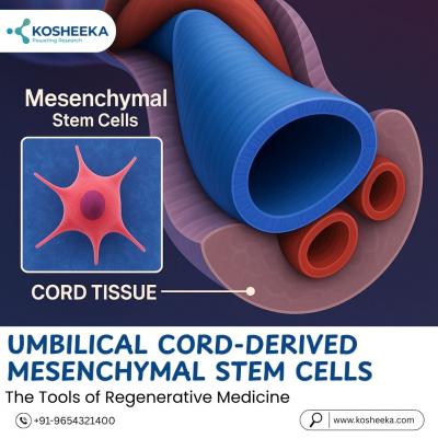 Umbilical Cord-Derived Mesenchymal Stem Cells: The Tools of Regenerative Medicine