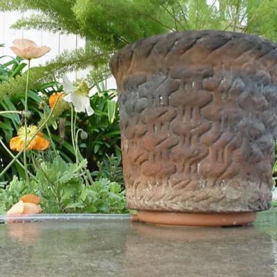 Potted Plant Drip Water - Other Other