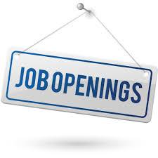 Website Developer – Immediate Joiner Required - Chennai IT, Computer