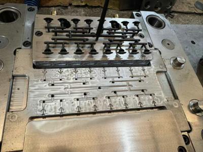 Multi cavity mold - Agra Other