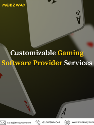 Gaming Software Provider 