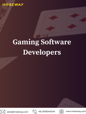 Gaming Software Developers