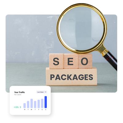 SEO Company In Noida