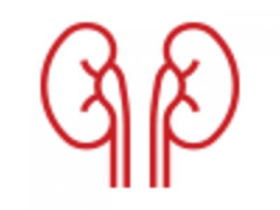 kidney transplant surgery in Trivandrum