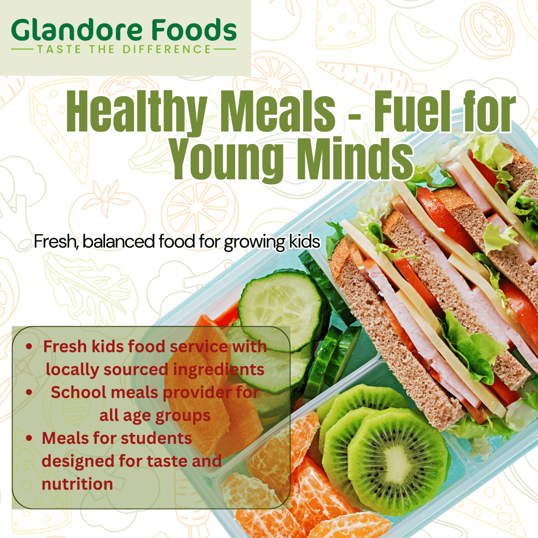 School kids meal in Dublin - Dublin Other