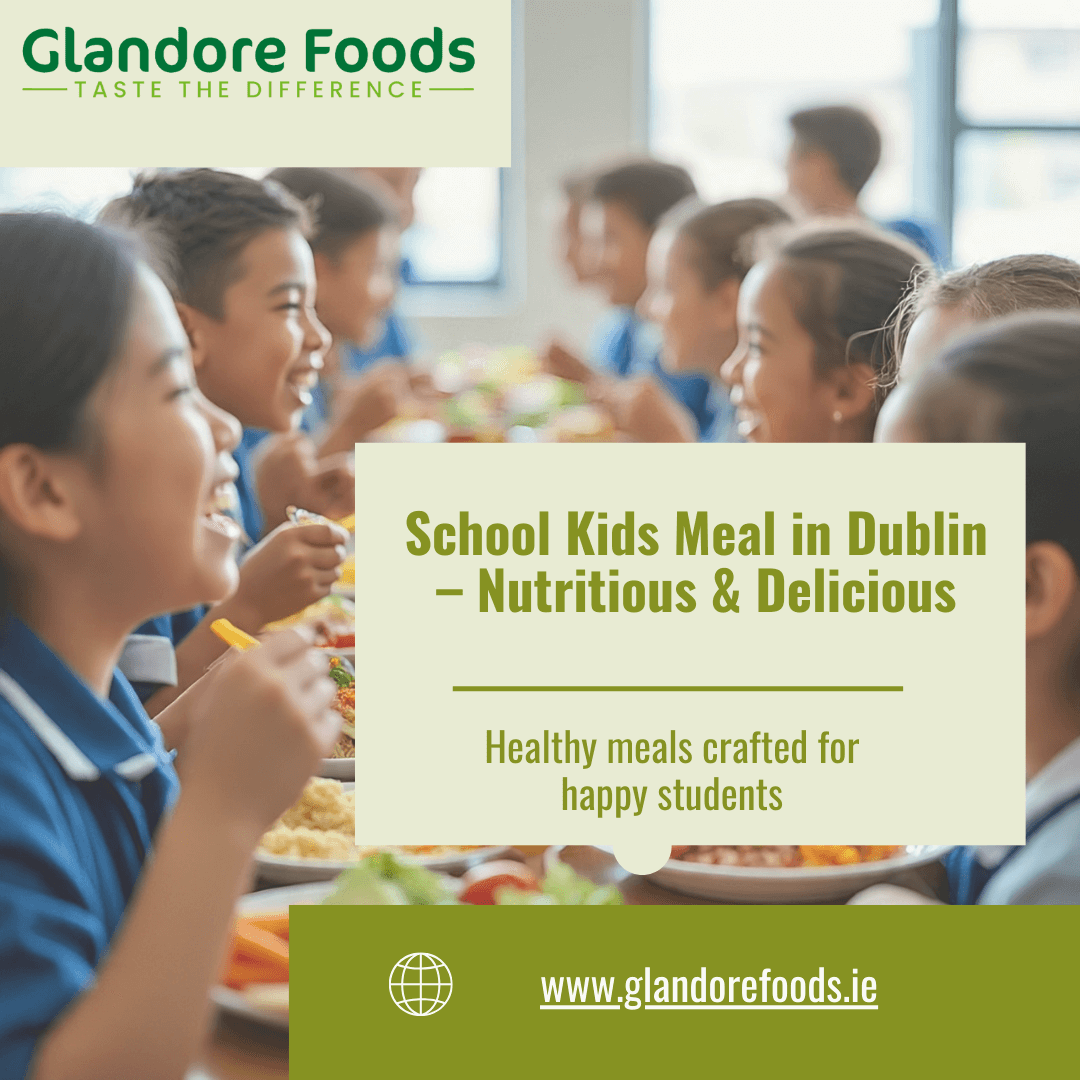 School kids meal in Dublin - Dublin Other