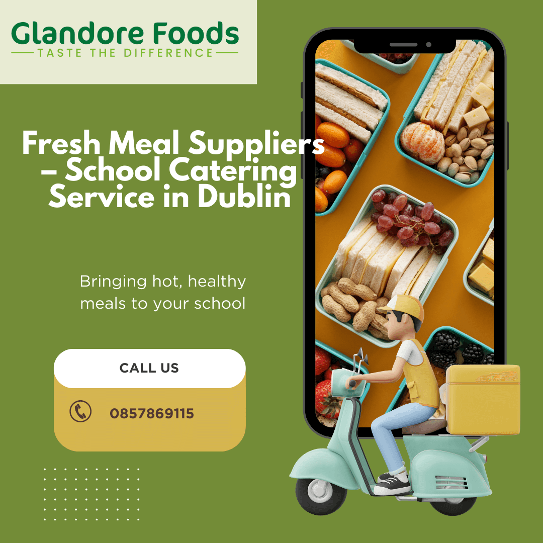 School kids meal in Dublin - Dublin Other