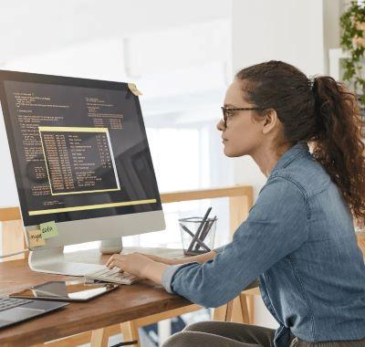 Remote Software Developer