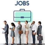 Creative Minds Wanted – Website Developer - Chennai IT, Computer