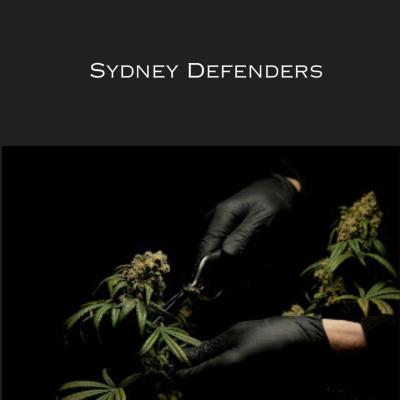 Your Trusted Drug Lawyers in Parramatta