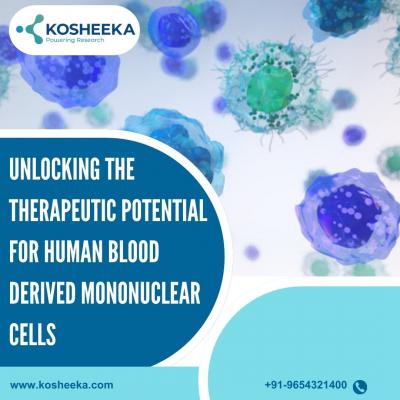 Unlocking the Therapeutic Potential for Human Blood Derived Mononuclear Cells