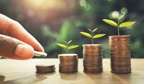 Best NRI Investment Services in Chennai India for Growth