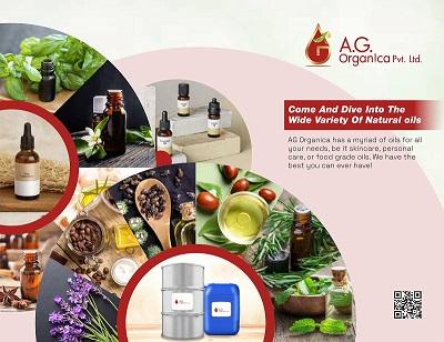 8 Popular Essential Oil Uses You Should Try