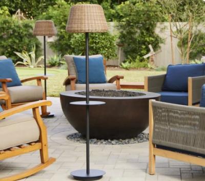 Patio Solar Floor Lamp - Other Other