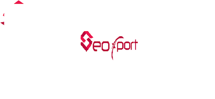 SEOXPORT Solutions - Ahmedabad Other