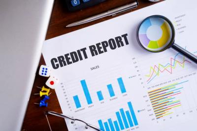 Business Credit Report