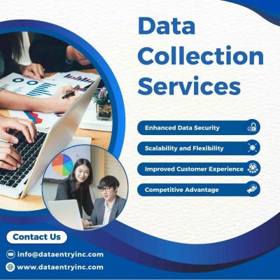 Best Data Collection Services in India