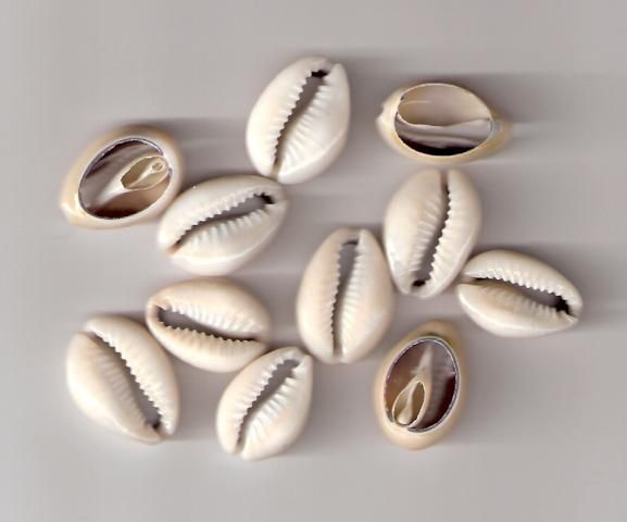 Voyance sur une vie de couple - Salvador Other