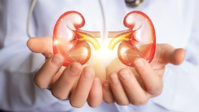 _Kidney failure - Virginia Beach Blogs