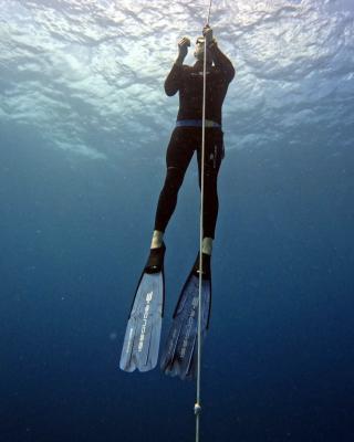 Bayahibe Freediving Course Online | Freedivingdr.com - Other Other