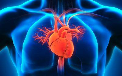 Venocure - Vein & Heart Specialists - Detroit Other