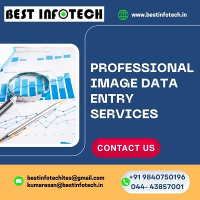 Professional Image Data Entry Services | Best Infotech Chennai
