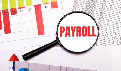 Streamline Your Business with Payroll Management Services