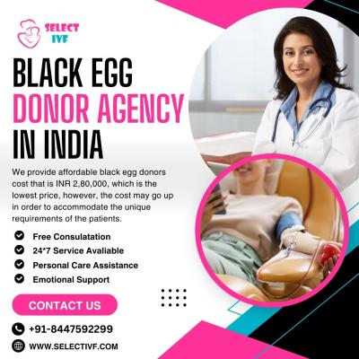 Black Egg Donor Agency in India