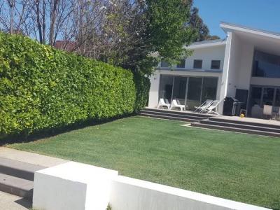 Landscaping Services Chelmsford