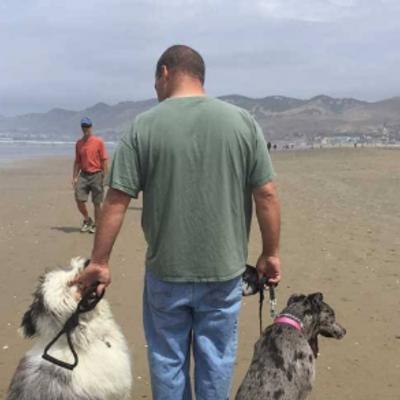 E Collar Training for Reactive Dogs