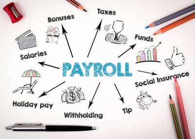 HR payroll outsourcing services in India - Other Other