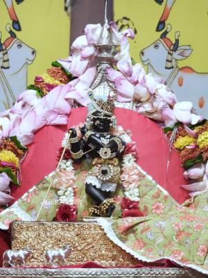 Radharamanji mandir  vrindavan