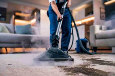 Everdry Carpet Steam Cleaning Services in Rose Bay