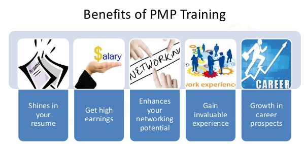 PfMP Certification Training - Other Professional Services