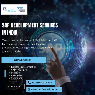 SAP Development Services in India | Ariba Partners in Bangalore