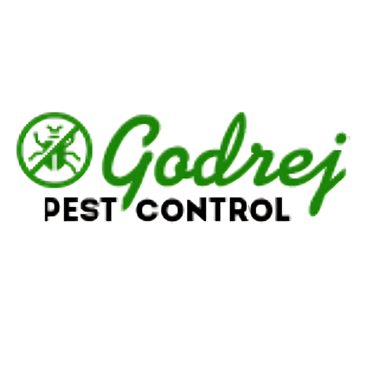 Pest Control Gurgaon