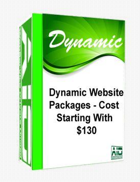 DYNAMIC WEBSITE PACKAGES