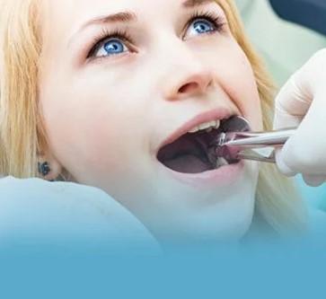 Dentist For Chickens - Sydney Other