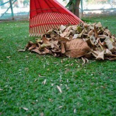 Spring Fall Clean Up In Martha’s Vineyard