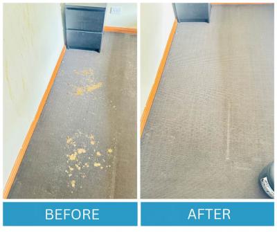 Carpet Cleaning specialist Adelaide