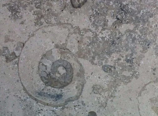 Exquisite Limestone Stokenchurch by Coulon Stone