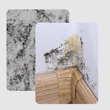 Expert Flood Damage Restoration Services Available in New Jersey