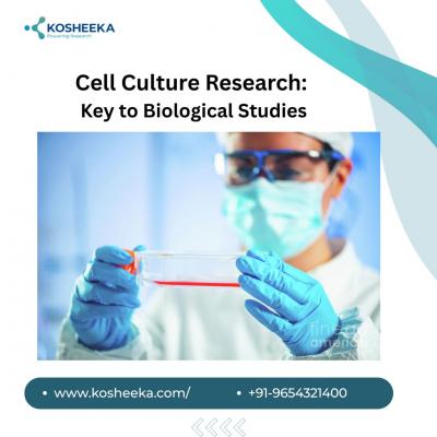 Cell Culture Research: Key to Biological Studies