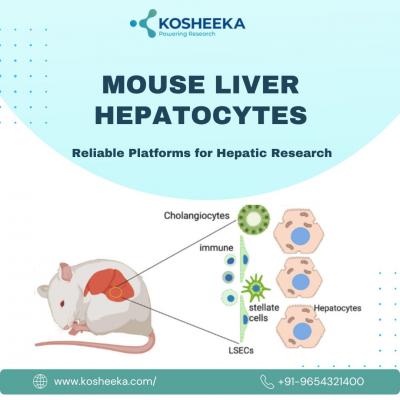 Mouse Liver Hepatocytes: Reliable Platforms for Hepatic Research
